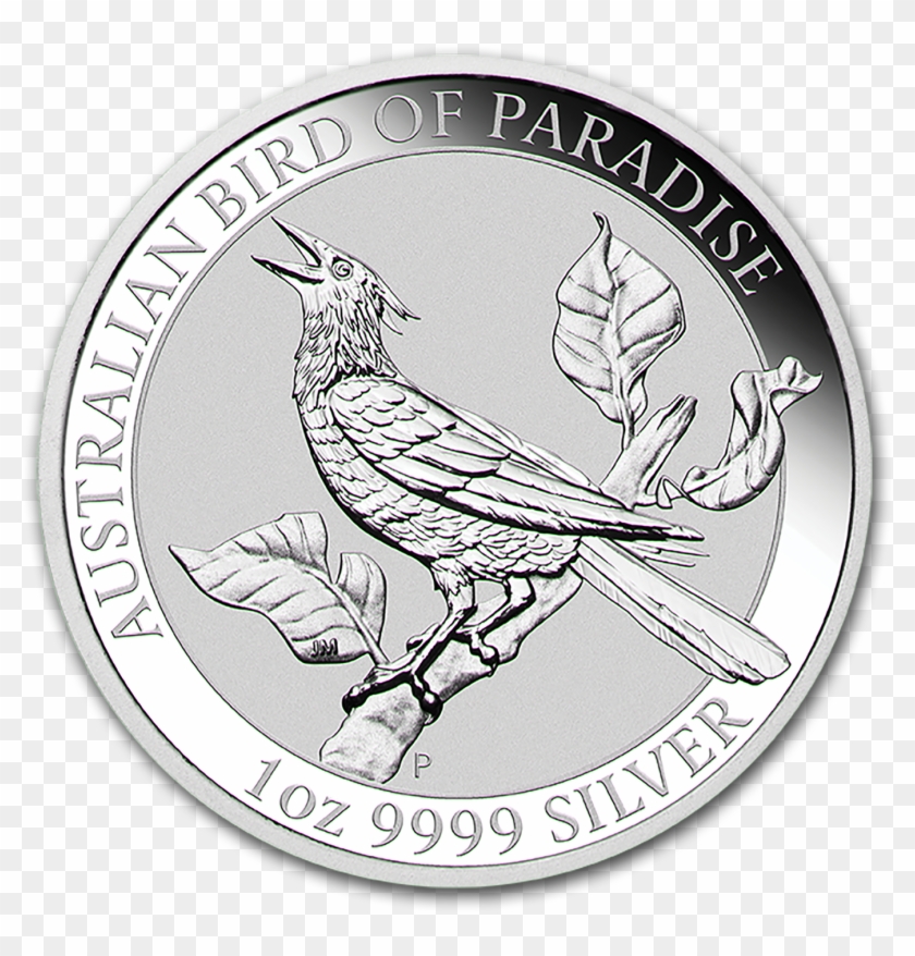 Buy 2019 Australia 1 Oz Silver Bird Of Paradise Manucodia - 10 Oz Silver 2019 Kookaburra Clipart #4345662