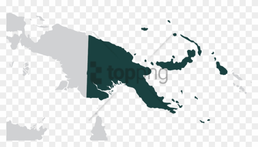 Free Png Wilsons Bird Of Paradise Habitat Png Image - Do Matschie's Tree Kangaroos Live Clipart