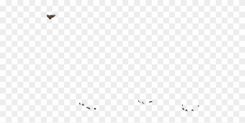 Buzzard Clipart #4345797