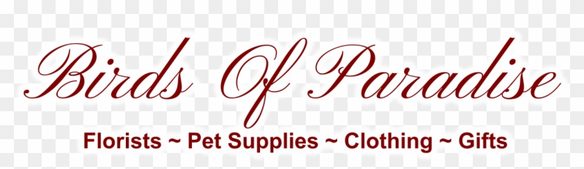 Birds Of Paradise Florists ~ Pet Supplies ~ Clothing - Calligraphy Clipart #4346076