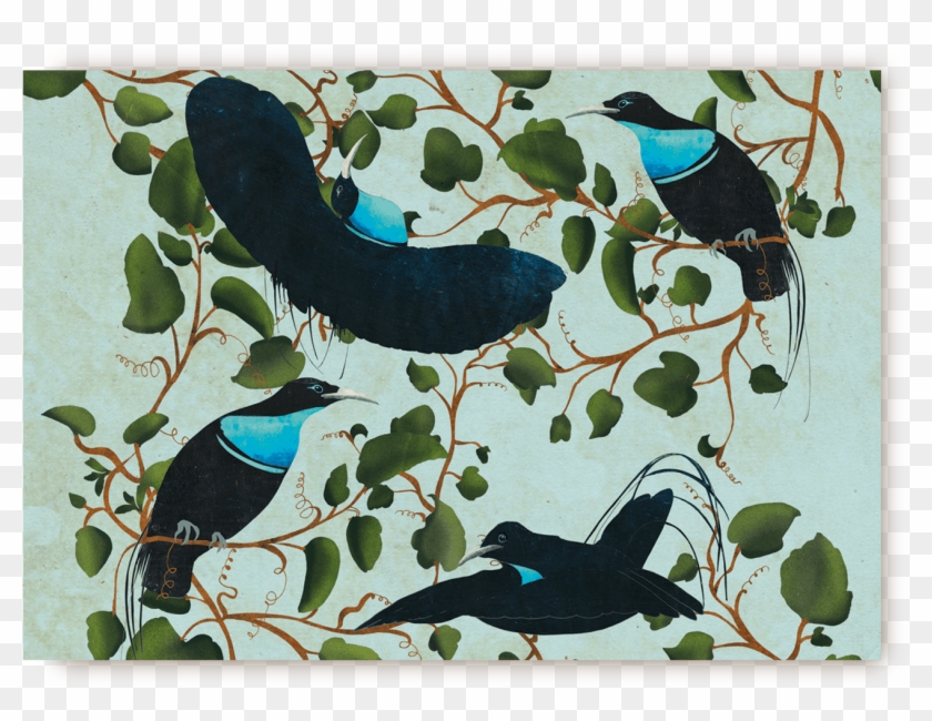 Birds Of Paradise Postcard - Crow Clipart #4346159