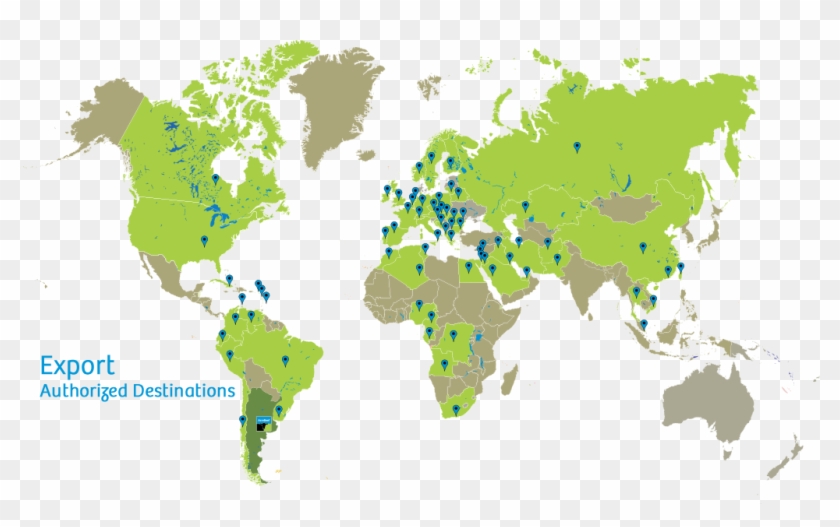 Mapa - World Map Same Color Clipart #4346368