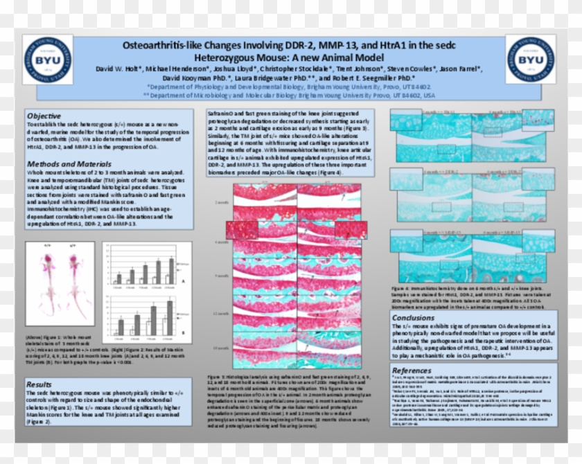 Osteoarthritis Like Changes Involving Ddr 2, Mmp 13, - Cartel De Osteoartrosis Clipart #4348023