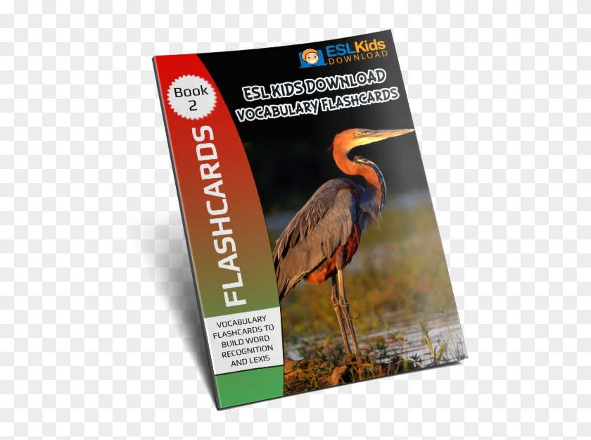 Flashcards Ebook - Great Blue Heron Clipart #4351177