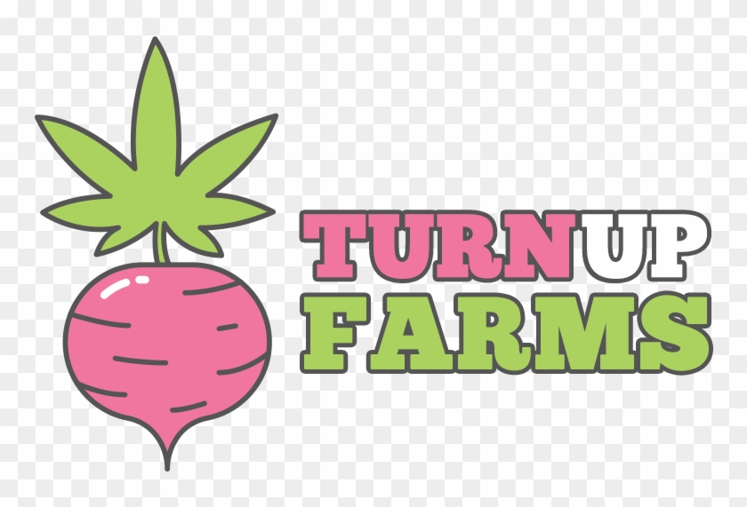 Turn Up Farms - Strawberry Clipart #4351362