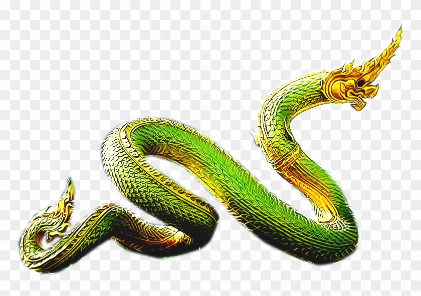 Family Of Aepharod Road Is Naga Tribes Green - พญานาค Png Clipart #4352029