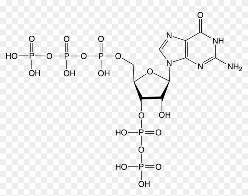 Guanosine Pentaphosphate Structure - Nucleotide Guanine Clipart