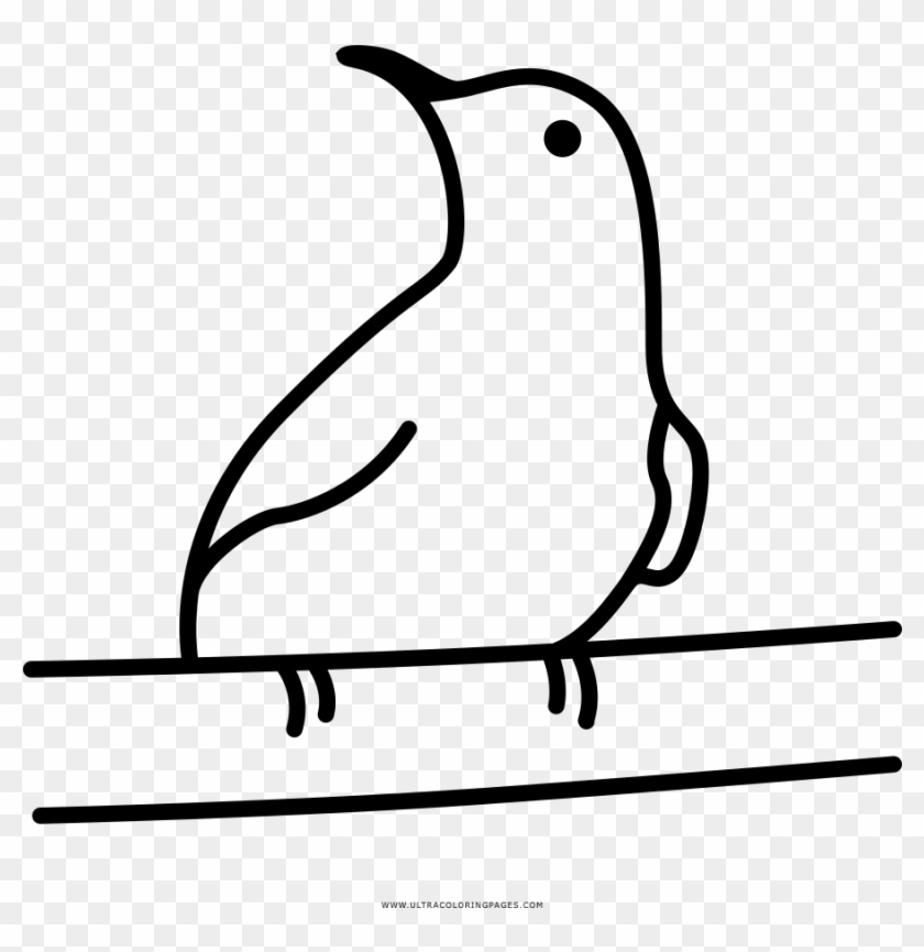 Wren Coloring Page - Line Art Clipart #4356526
