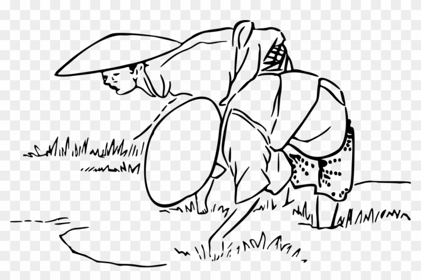 Rice Clipart Rice Paddy - Rice Field Drawing - Png Download #4358937