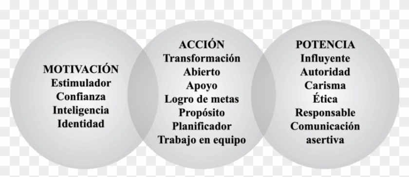 Características Del Líder - Circle Clipart