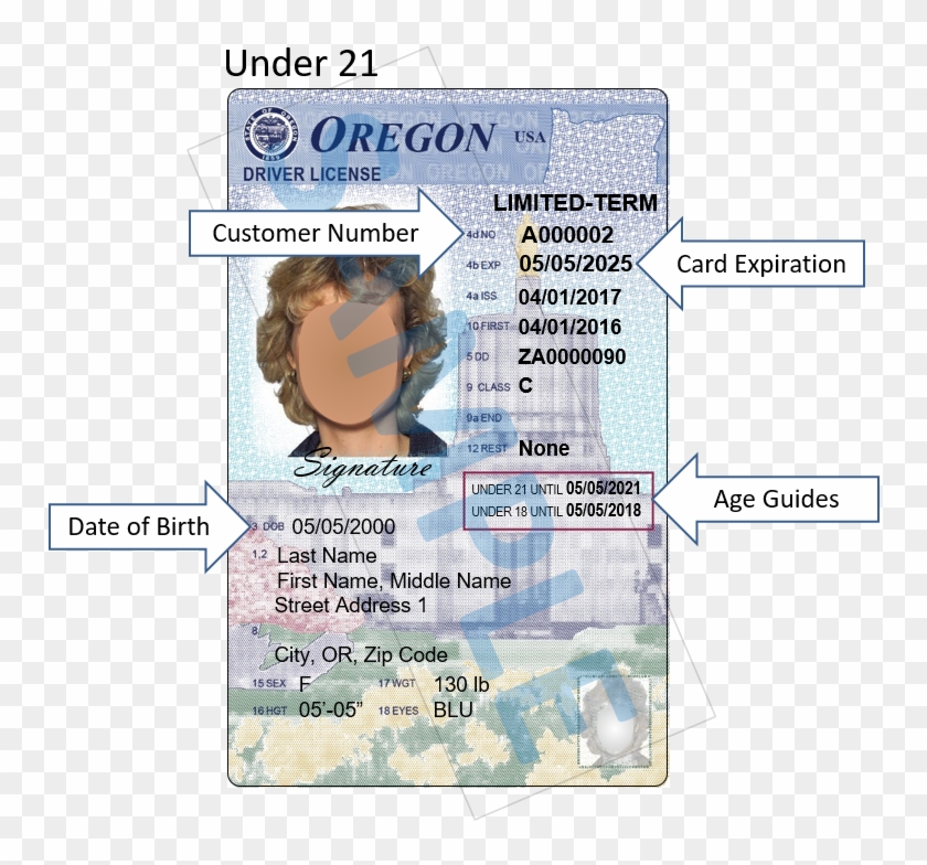 Where Do I Find The Birth Date And Dmv Customer Number - New Oregon Drivers License Design Clipart #4362676