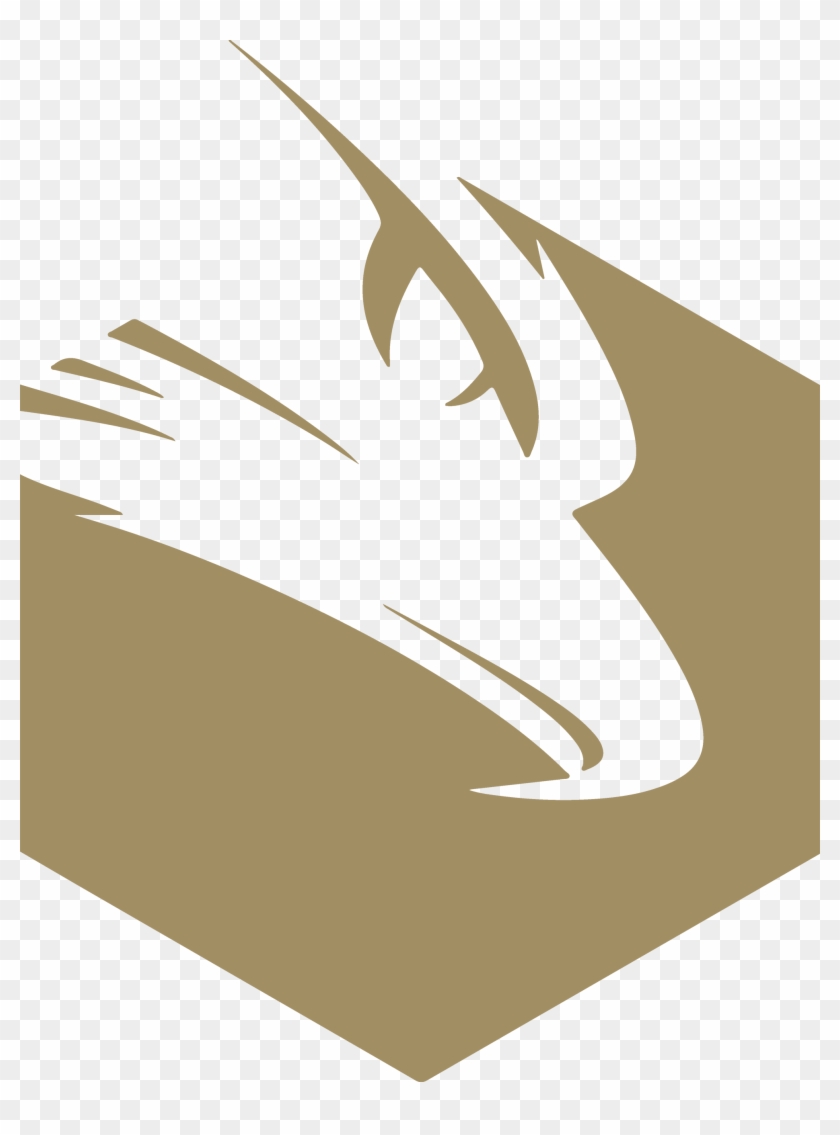 Aquila Logo Clipart #4363016