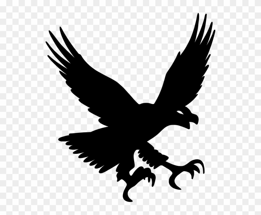 Hawk Clipart #4363723