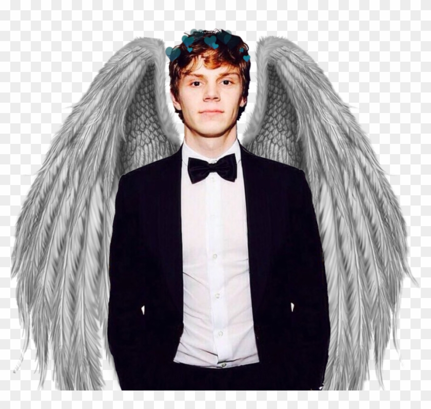 #evanpeters #quicksilver #ahs #wings #americanhorrorstory - Angel Wings Sticker Picsart Clipart