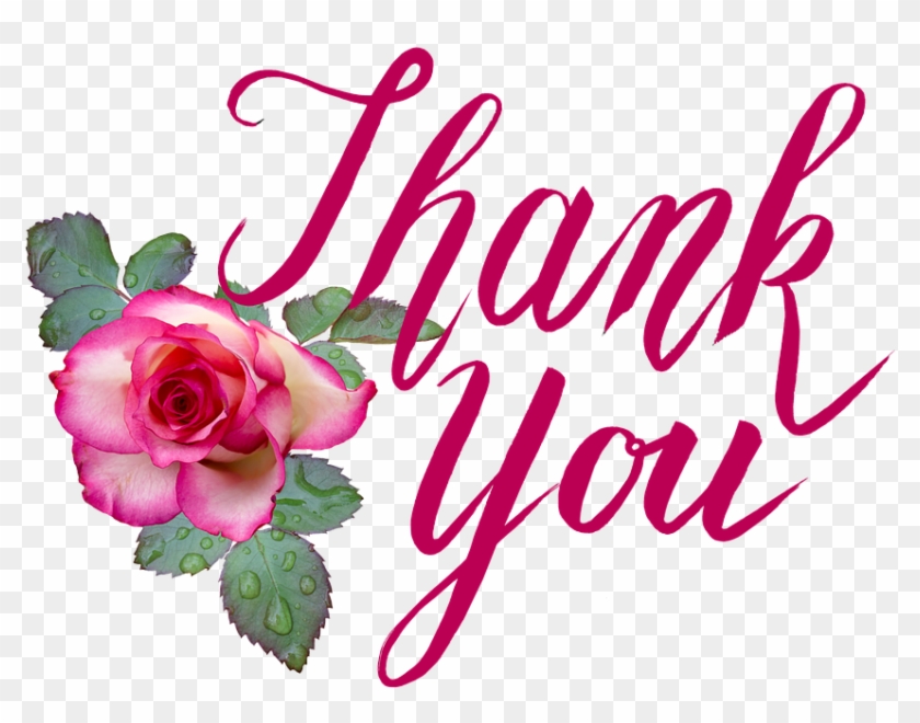 Lady Receives A Rose & Makes Her Day - Thank You Images With Roses Clipart #4367187