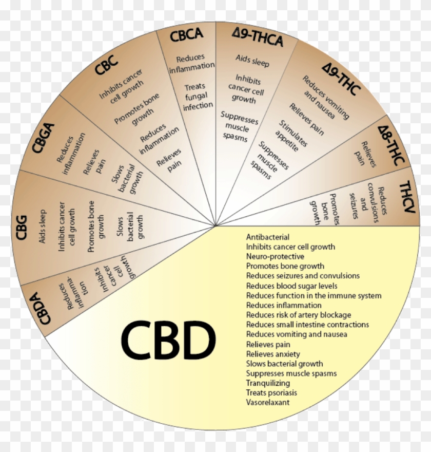 Cbd-benefits - Cannabinoid Effects Clipart