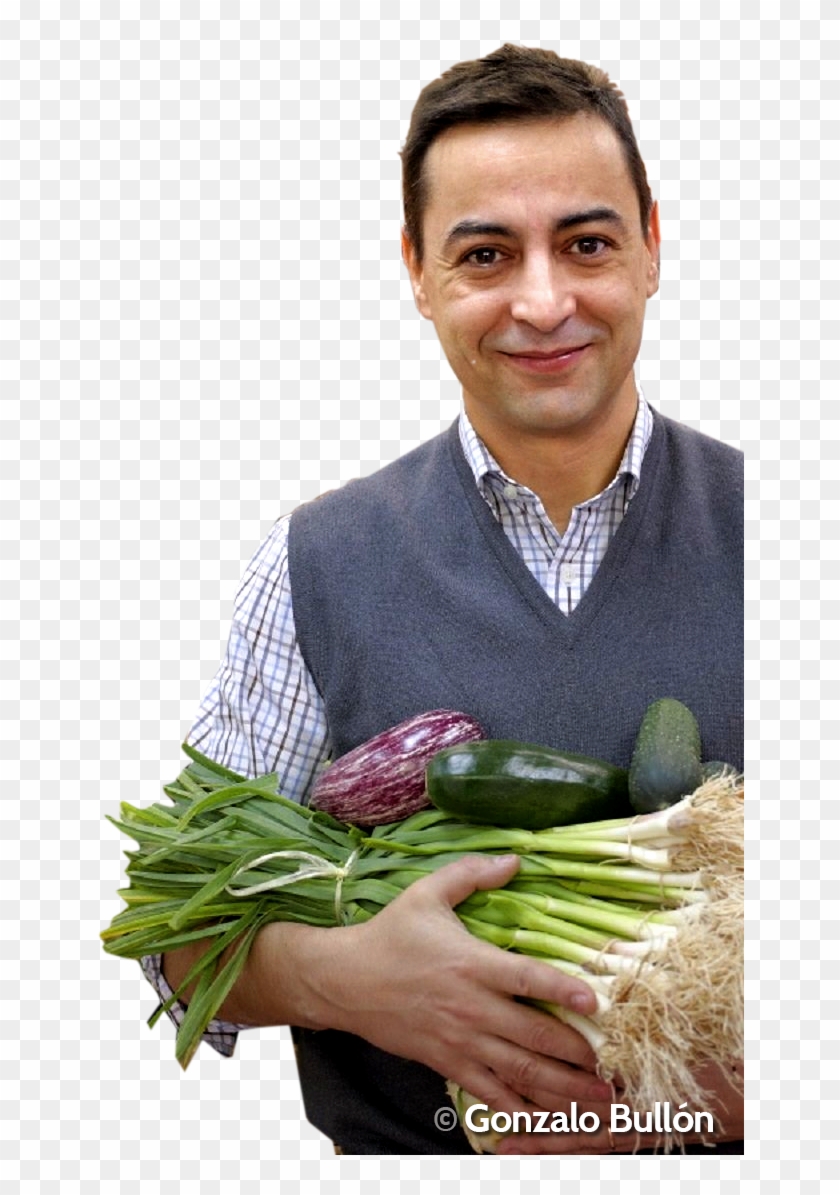 Juan Revenga - Natural Foods Clipart #4367631