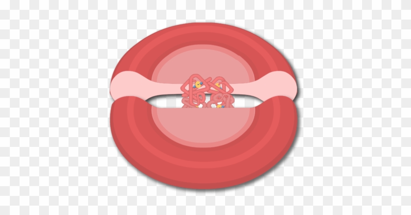 Hemoglobin Molecules In A Red Blood Cell - Hemoglobinas Png Clipart