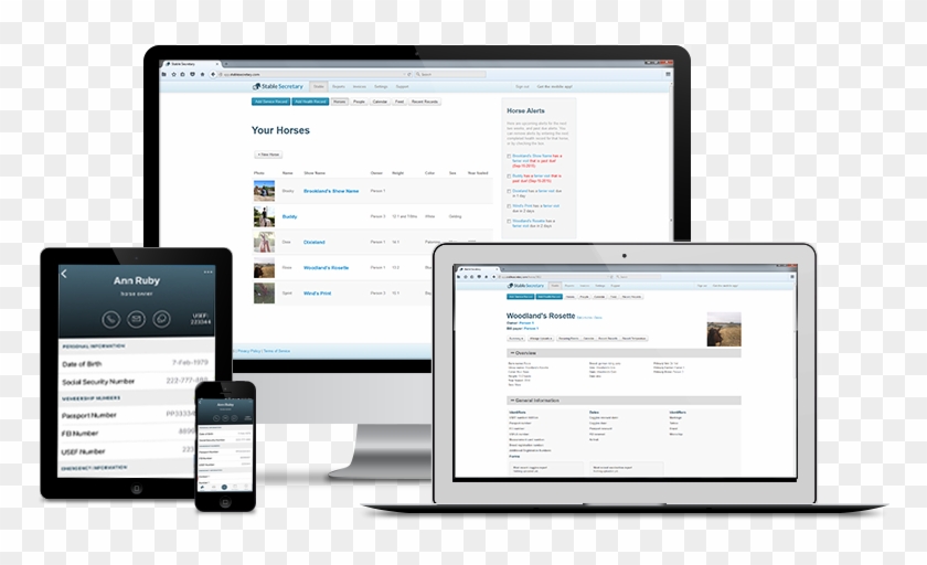 Barn Management Made Easy - Equine Software Clipart #4368671
