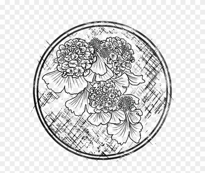 Chassia And Teylon - Line Art Clipart #4370458