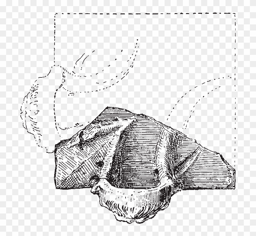 The Restored Waterspout May Have Been The Head Of A - Sketch Clipart #4370565