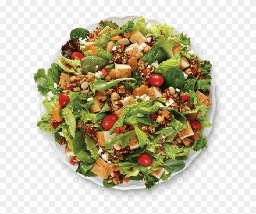 Wendy's - Garden Salad Clipart
