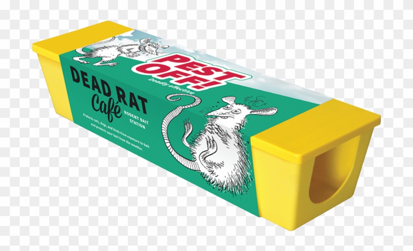 Chinchilla Clipart #4375207