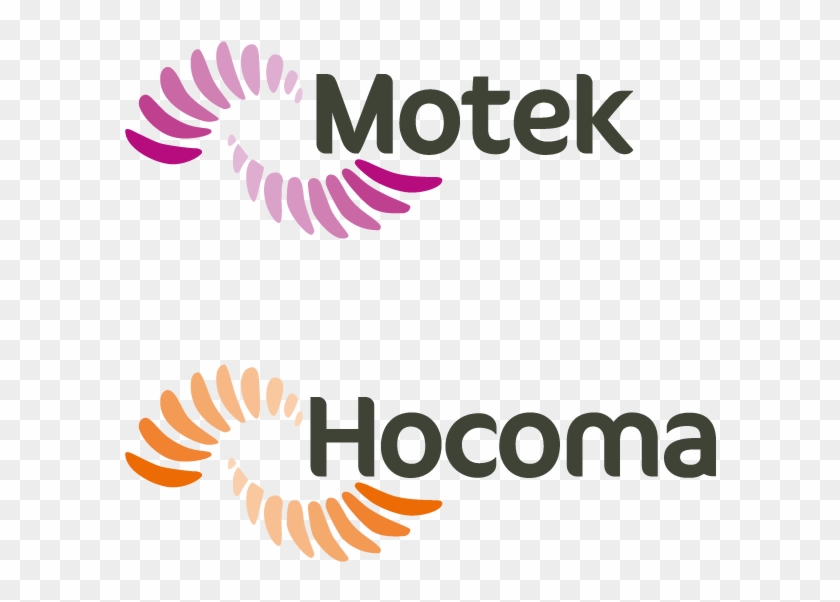 Hocoma Motek Logos - Hocoma Clipart #4376993