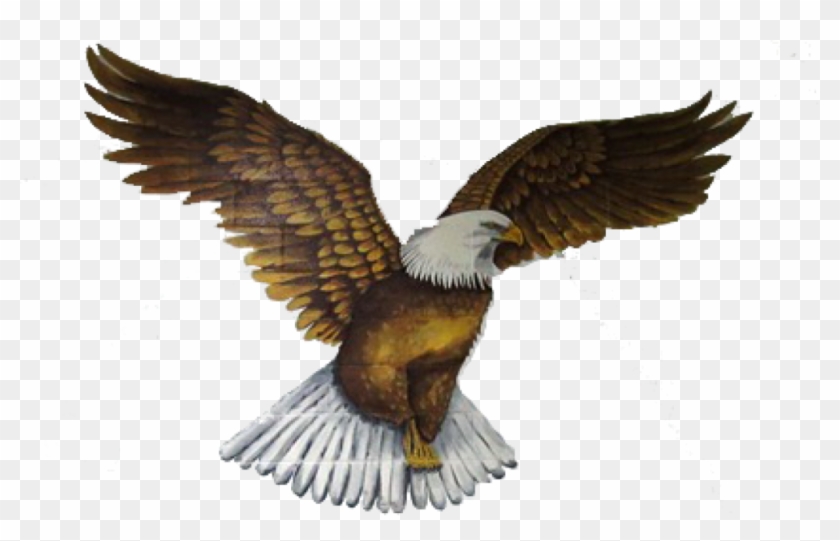 Cropped-empty - Bald Eagle Clipart #4377873