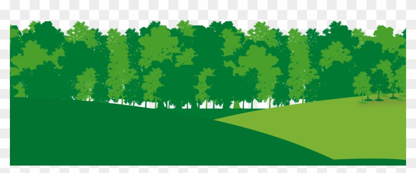 Bosque Png - Tree Clipart #4378127