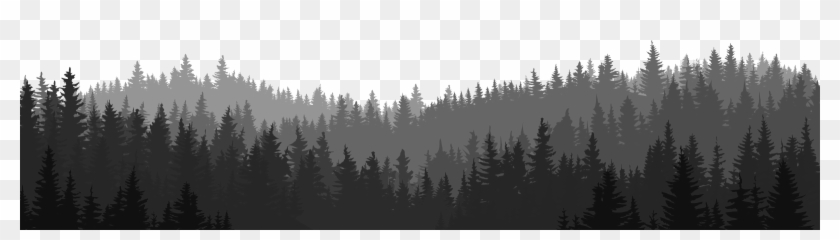 Bosque Png - Arboles De Bosque Png Clipart