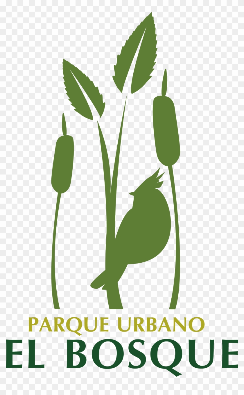 Parque Urbano El Bosque Valdivia Clipart