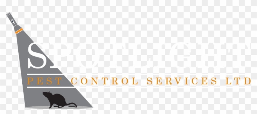 Spolight Pest Control Services Ltd - Graphic Design Clipart #4378730