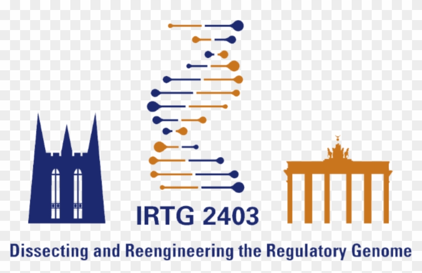 You Want To Unravel The Mysteries Of Genome Regulation - Iri For Life Sciences Clipart
