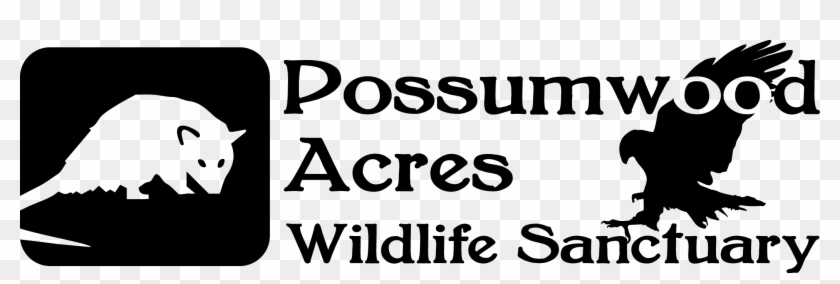 B84c4652 E6d8 41d2 A747 72deca2aa382 - Possumwood Acres Wildlife Sanctuary Clipart