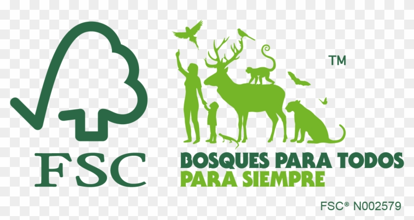 En Un Bosque Certificado Se Realizan De Mejor Manera - Forest For All Forever Clipart