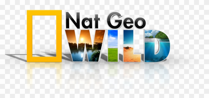 <img - Graphic Design Clipart #4381180