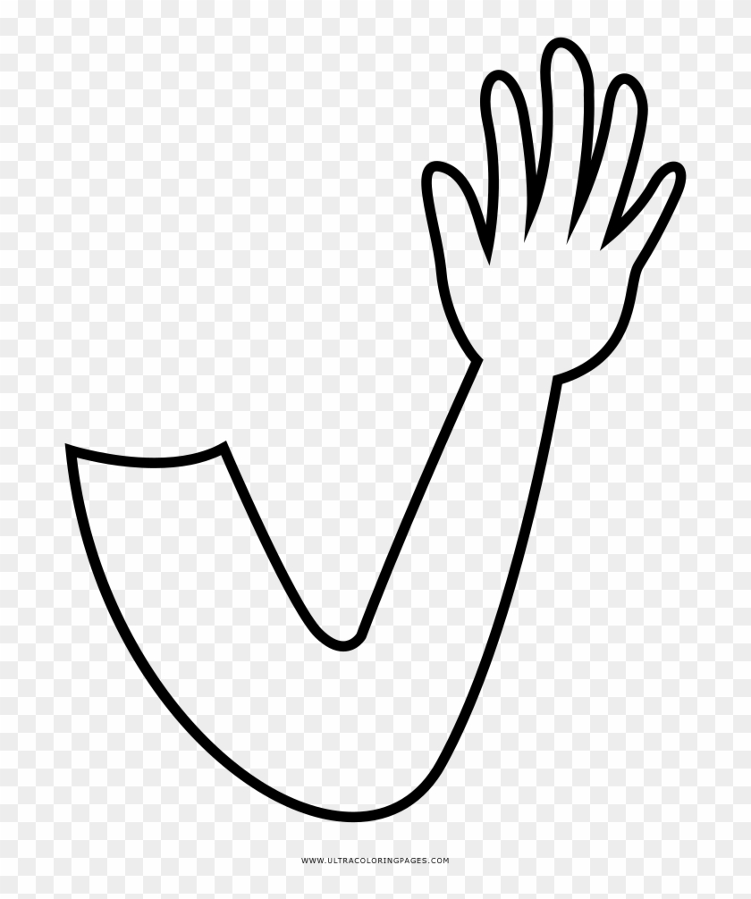 Brazo Dibujo Png Clipart