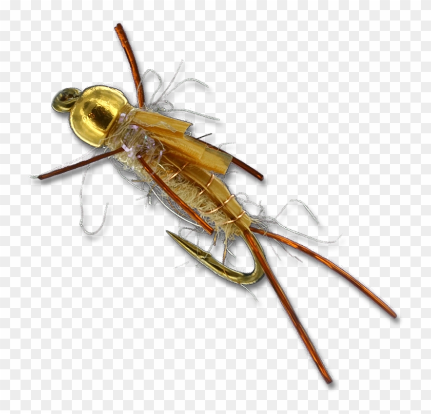 Bee Clipart #4382871