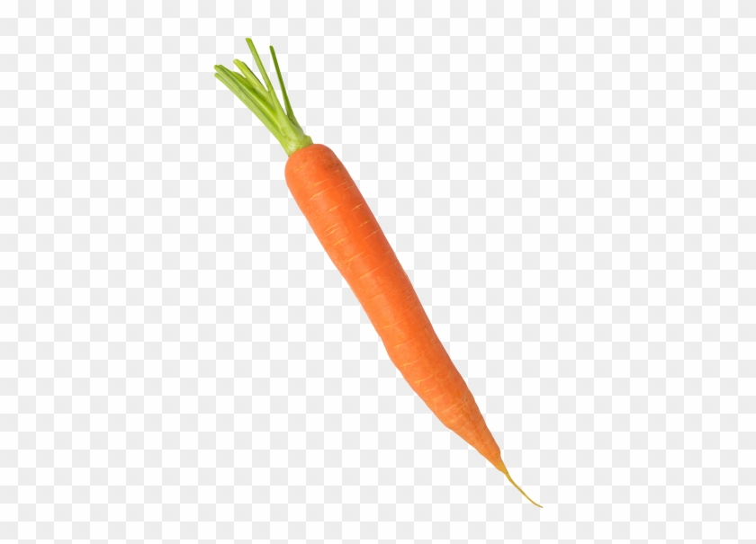 Carrot - Baby Carrot Clipart #4383059