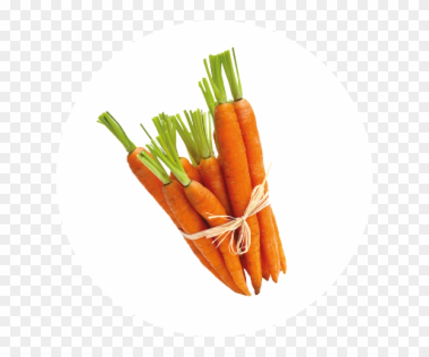 Emma Noël Is - Baby Carrot Clipart