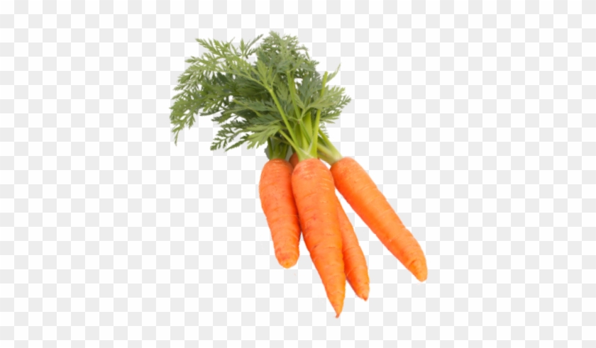 Baby Carrot Clipart #4383671