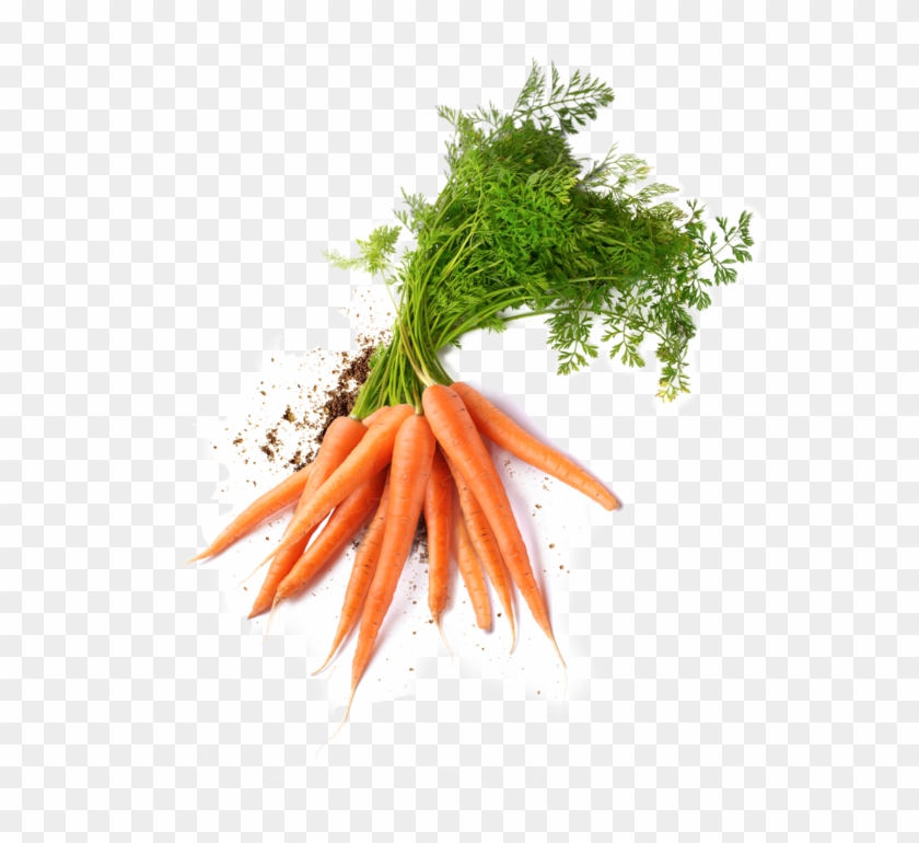 Welcome To Carron Farms - Transparent Basket Carrots Png Clipart #4383805