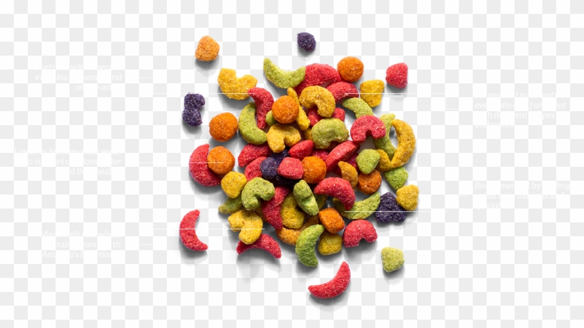 Bsa Health Support Diagram - Zupreem Clipart