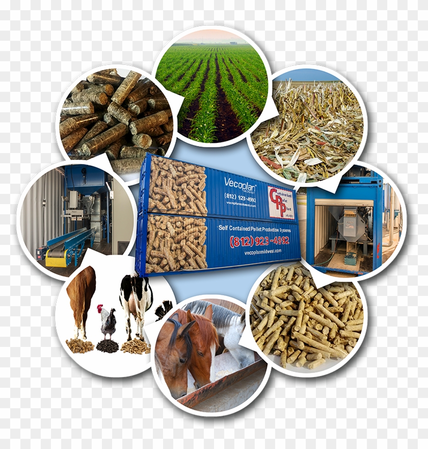 Rigid Plastics • Agricultural Film - Superfood Clipart #4385505