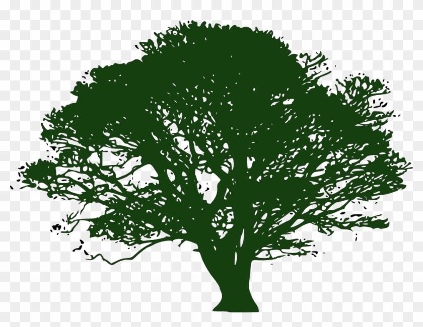 About Helga - Transparent Background Tree Clipart - Png Download #4387562
