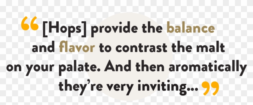 “hops Are Very Important To Goose Ipa - Circle Clipart #4387625