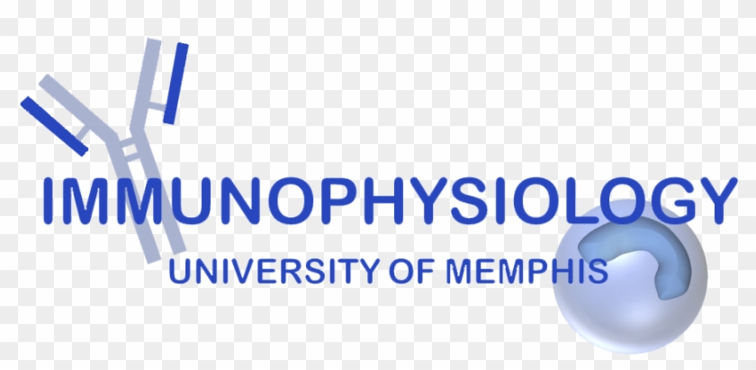 Research In Immunophysiology - Quest University Clipart