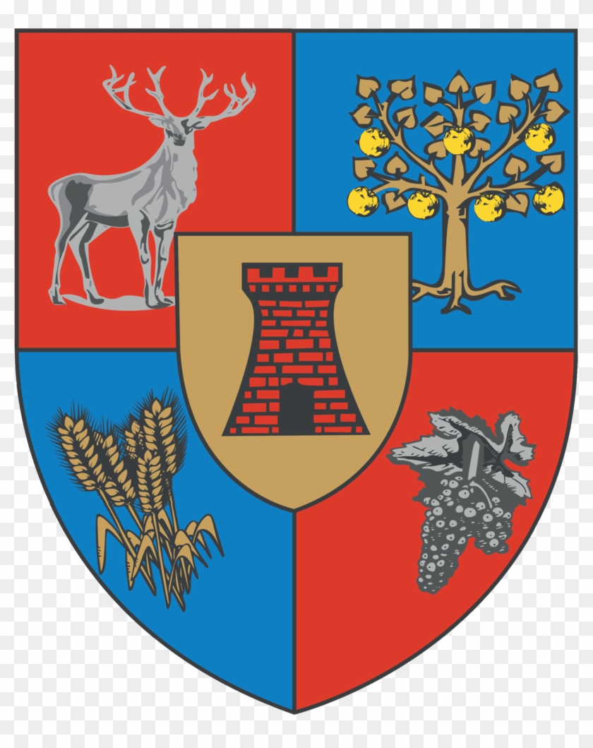 Actual Satu Mare County Coa - Consiliul Judetean Satu Mare Clipart