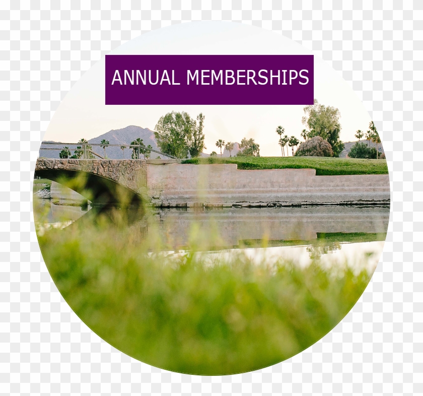 Membership Information - Reflection Clipart #4389845